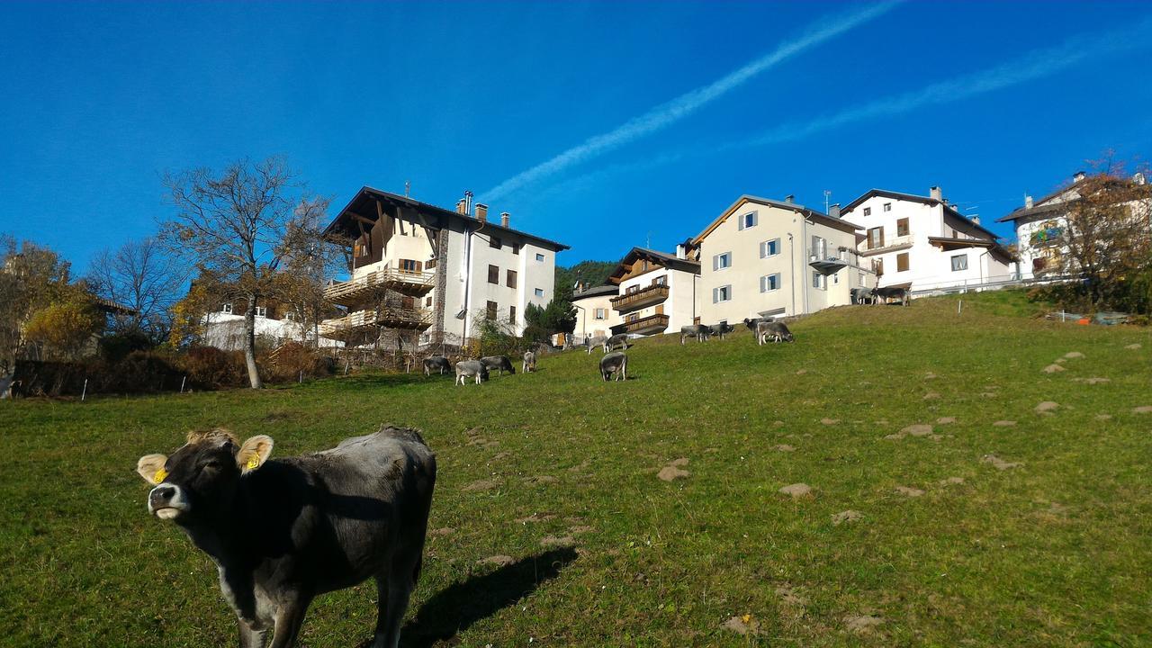 Il Cardo Trentino Lägenhet Bedollo Exteriör bild