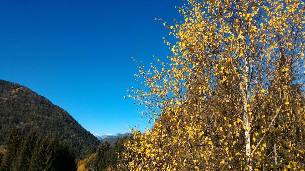 Il Cardo Trentino Lägenhet Bedollo Exteriör bild