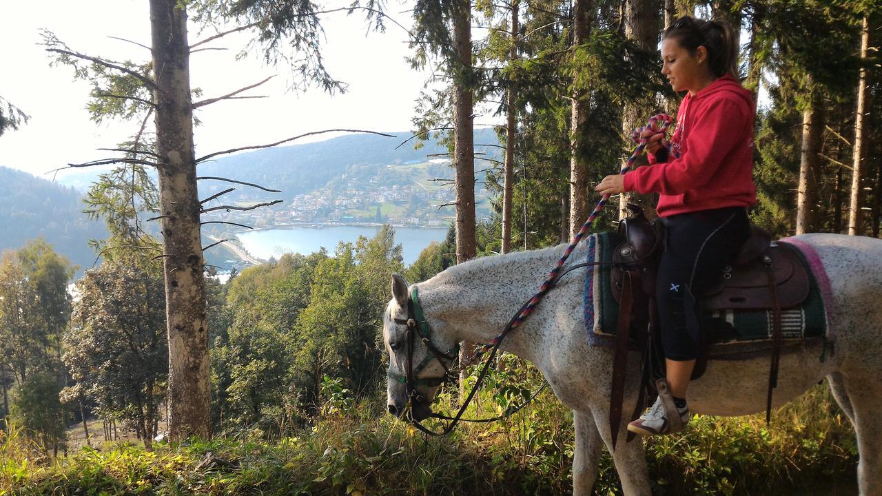 Il Cardo Trentino Lägenhet Bedollo Exteriör bild