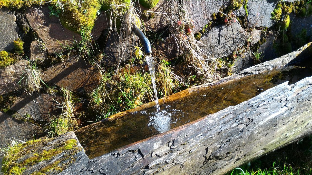 Il Cardo Trentino Lägenhet Bedollo Exteriör bild