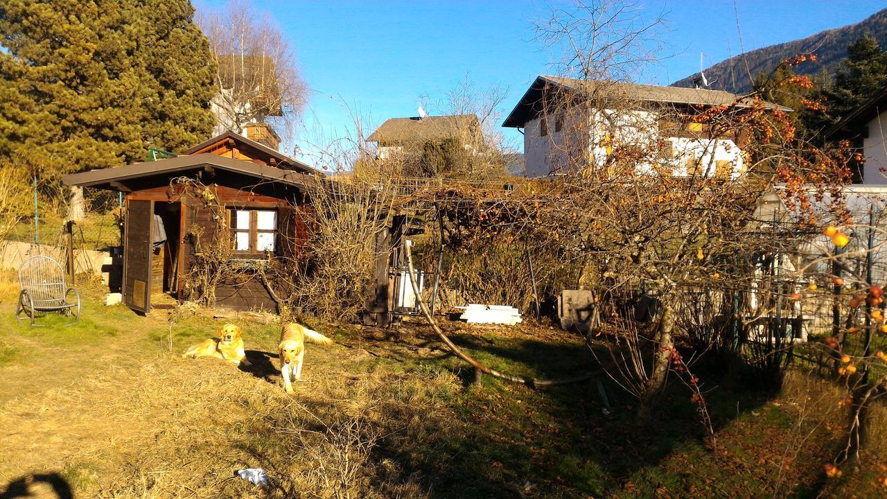 Il Cardo Trentino Lägenhet Bedollo Exteriör bild