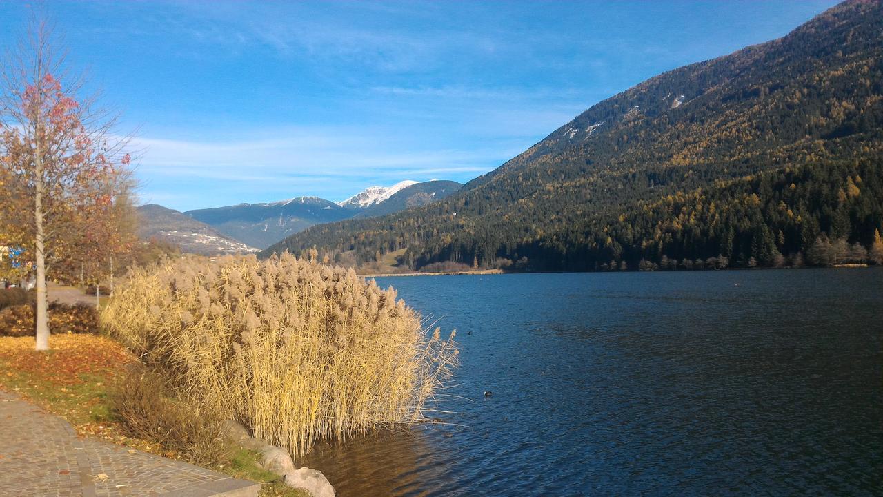 Il Cardo Trentino Lägenhet Bedollo Exteriör bild