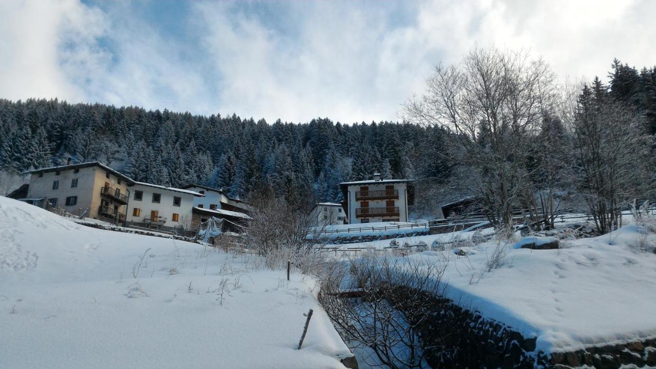 Il Cardo Trentino Lägenhet Bedollo Exteriör bild